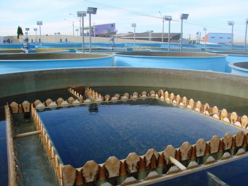 Tecnoplus desenvolveu estação móvel de tratamento para água do semiárido